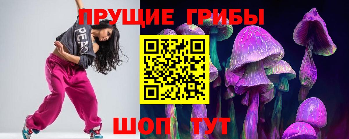 где можно купить   Псилоцибиновые грибы MAGIC MUSHROOMS  Вход с VPN  Калининград 